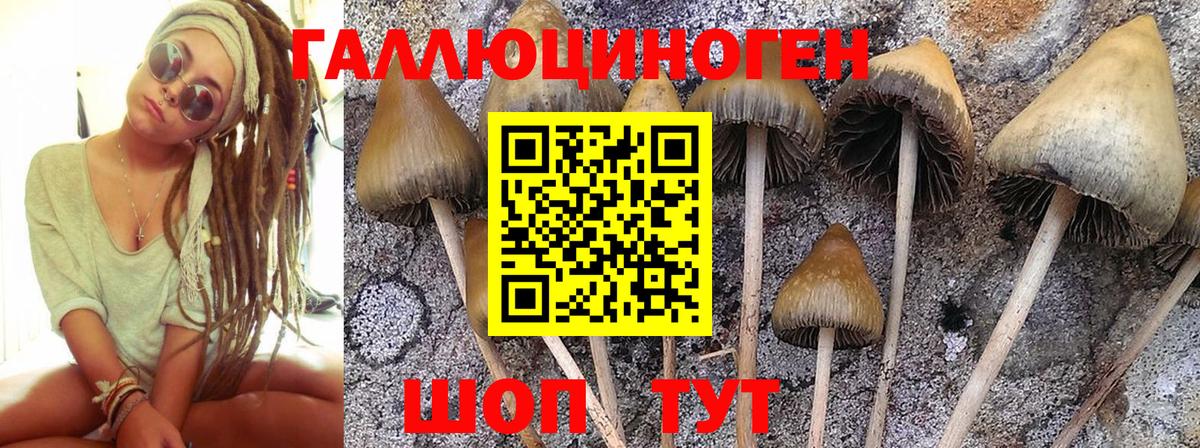 Галлюциногенные грибы прущие грибы  Вход с VPN  Тобольск 