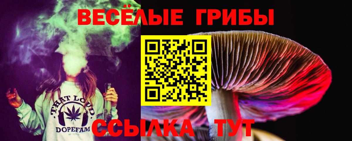 Псилоцибиновые грибы Cubensis Тобольск